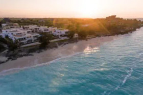 NUNGWI DREAMS BY MANTIS