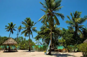 Tikitam Palms Boutique Hotel