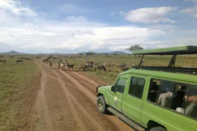 KENIA TANZANIA Z WYPOCZYNKIEM NA ZANZIBARZE 16 DNI